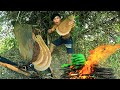 Survival in the rainforest - Man finding bee | cooking banana eat with bee - Eating