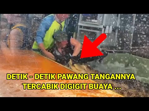 Video: Mengapa Mereka Mempunyai Buaya?