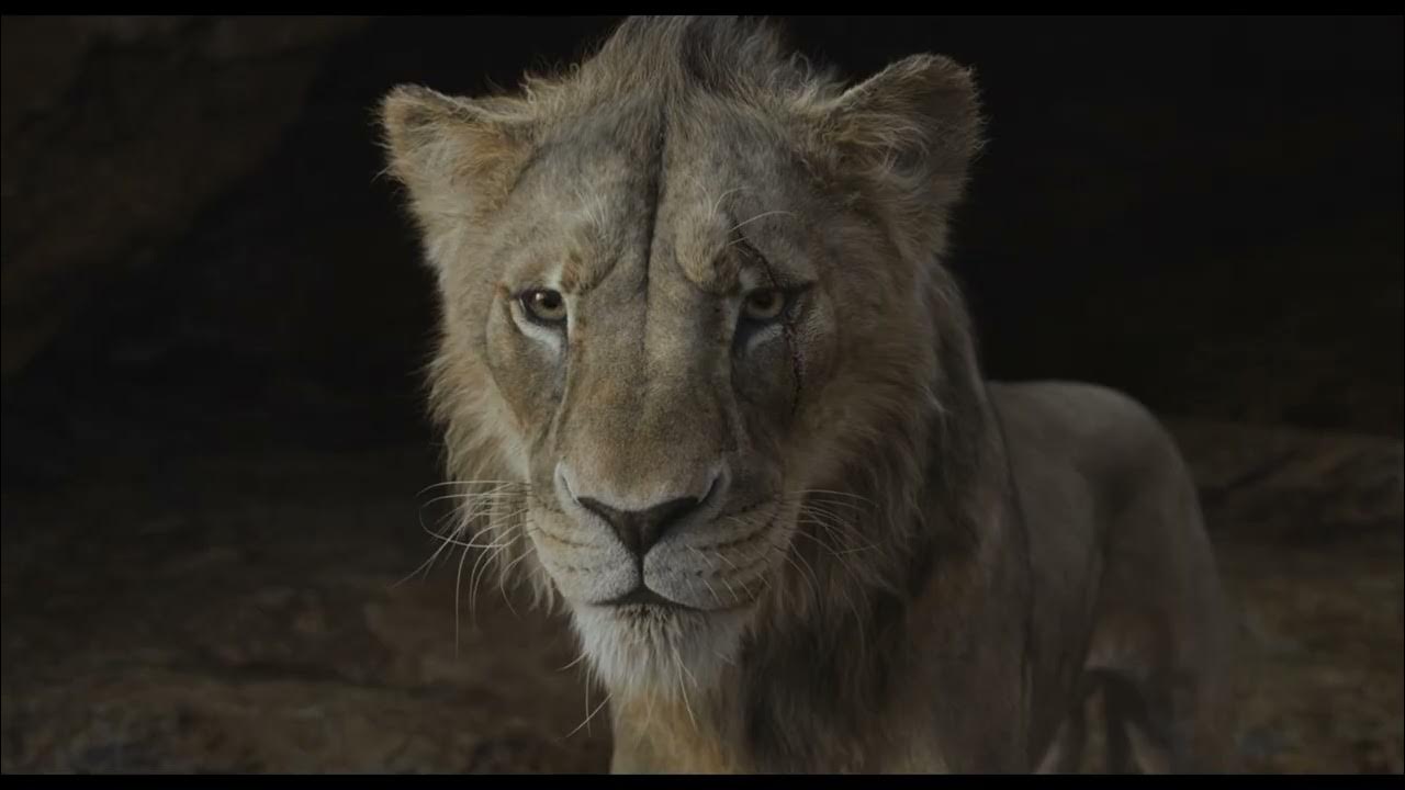 Mufasa: The Lion King | "Invites" | In Theaters December 20 - Exploring the unlikely rise of the beloved king of the Pride Lands, “Mufasa: The Lion King” enlists Rafiki to relay the legend of Mufasa to young lion cub Kiara
