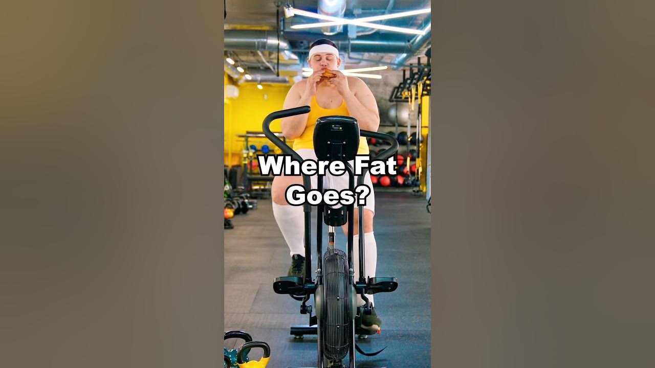 where-does-fat-go-when-you-lose-weight-the-surprising-answer-weknow