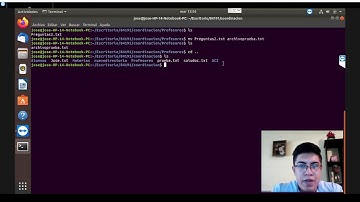 84191 Comando MV en Linux