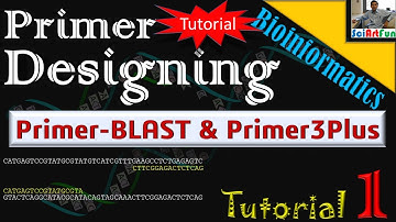 Primer Designing | Using PrimerBlast or Primer3Plus || Tutorial 1