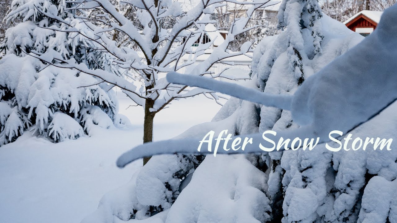 Snow storm | Canada | Toronto | Leo Binu