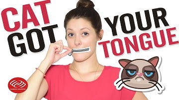 Học tiếng Anh 2 phút mỗi ngày - Cat got your Tongue [Cách học tiếng Anh giao tiếp hiệu quả]