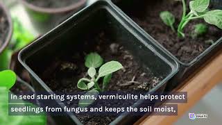 Perlite vs Vermiculite: Unveiling the Secrets of Soil Additives