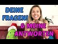 Quiz zu Anjas Video
