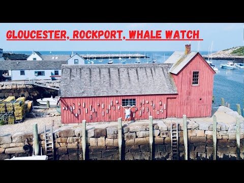 Gloucester - Whale Watch, Rockport, Newburyport - Northern Massachusetts Day Trip from Boston