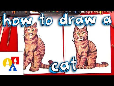 How To Draw A Realistic Cat