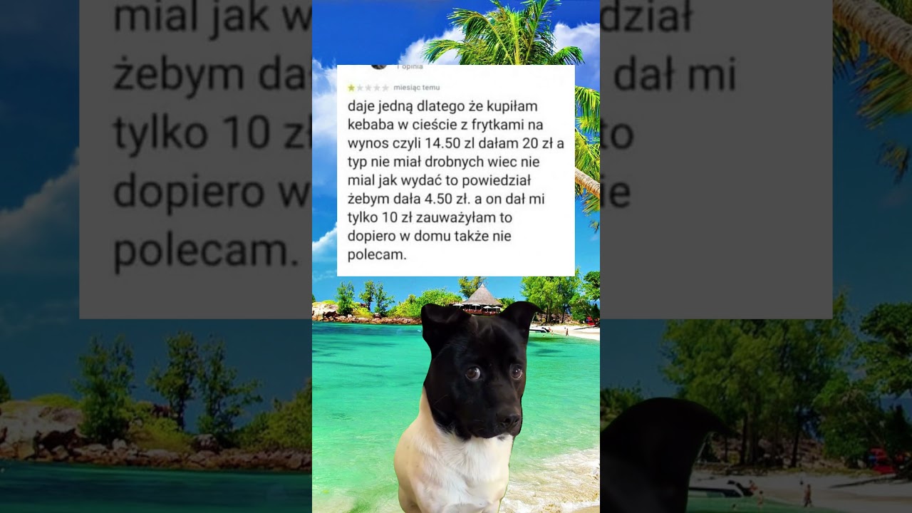 #shorts #memes #viralvideo #funny #śmieszne #fyp #memy #polska