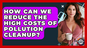 How Can We Reduce The High Costs Of Pollution Cleanup? - The Everyday Why