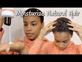 How I Moisturize My Dry Natural Hair