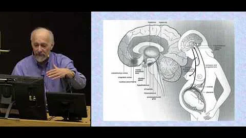 Allan Schore, The shaping of our emotional selves.