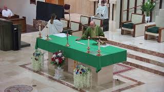 14th Sunday in Ordinary Time Mass 2026