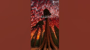 تلاوة خاشعة لشيخ ماهر المعيقلي #explore #تلاوة #اكسبلور #subscribe #viralvideo #تلاوة_خاشعة #quran