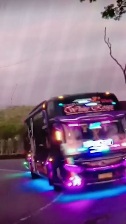 bus PO Haryanto warna ungu Basuri V3