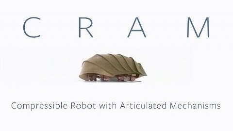 Cockroach-Inspired Robot Can Squeeze Into Some Tight Spaces - Newsy