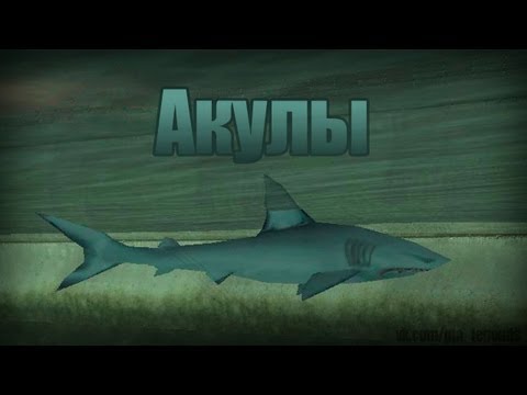 Видео: Проверка легенд | GTA SA (Выпуск 16 "Акулы")