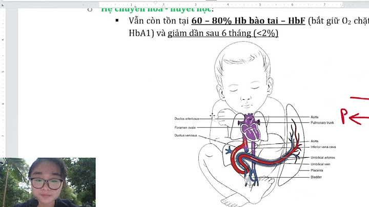 Mục đích đánh giá chỉ số apgar năm 2024