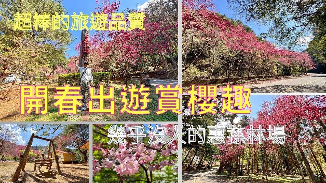 20260223萬ㄟeye台灣～開春出遊賞櫻趣～北港溪畔惠蓀林場/糯米橋/請打開CC字幕   4K