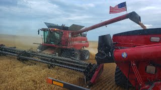 Millennial Farmer STOLE Welker's Case Combine (Optimus Bine!!)