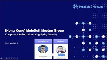 Component Authorization Using Spring Security.    #mulesoft#software#training