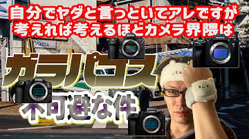 【ほぼ無編ラジオPt.184】考えれば考えるほどカメラ界隈はガラパゴスまっしぐらな件【カメラ雑談/α7V/S1Ⅱ/R6Ⅲ/Z6Ⅲ】
