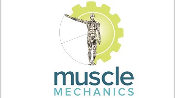 PAILS/RAILS Spine Lateral Flexion w/ floor