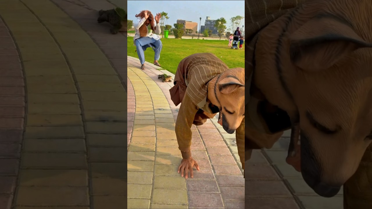 OMG😱 Alligator 🐊 Ne Attack Kar Dia 