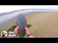 Guy rescues 3 sharks with his bare hands  the dodo