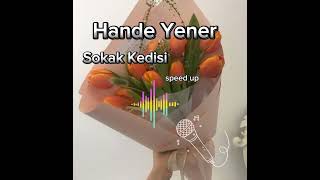 Hande Yener sokak kedisi speed up Resimi