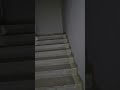 Для тех, кто находил мало шагов за день по приюту)