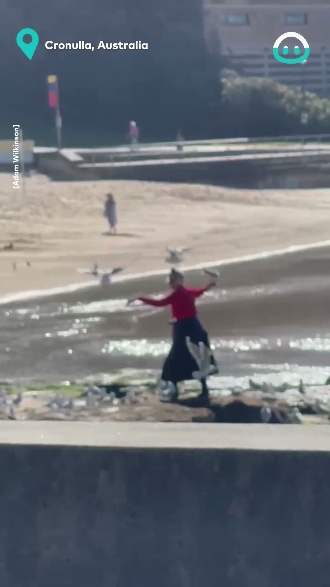 Woman Attracts Birds at The Beach || ViralHog