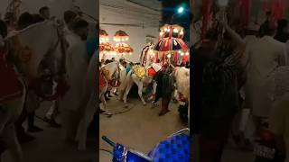 Ghodi Pe Hoke Swarshortsweddingytshortsbarattrendingdecoration