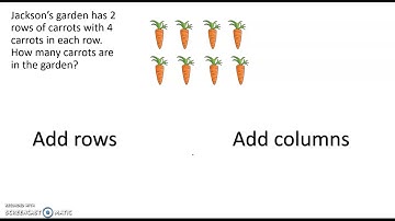 2.4 Writing Equations for Arrays