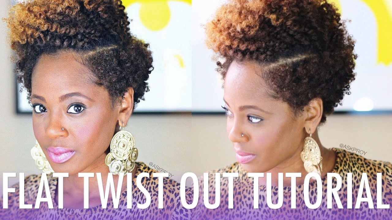 Flat Twist Out Tutorial ft. Bee Mine Products | Natural Hair - YouTube