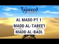 Theory Lesson 13 Al Madd Pt 1 Al Tabee I Al Badl Tajweed Made Easy Theory Lesson 13 Al Madd Pt 1 Al Tabee I Al Badl Tajweed Made Easy