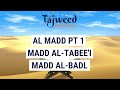 Theory lesson 13  al madd pt 1 altabeei albadl  tajweed made easy