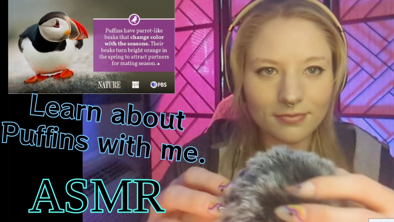 👽ASMR👽Let's learn about Puffins Eartoearwhispering, mouthsounds 👽ASMR👽Let's learn about Puffins Eartoearwhispering, mouthsounds