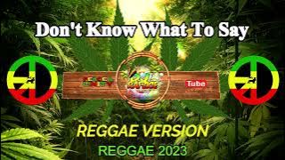 Don't Know What To Say - Reggae Cover ( Reggae ) Ft, Dj Rafzkie