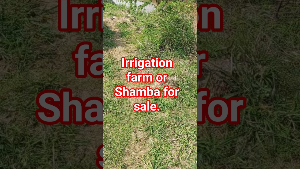 The Farm or Shamba for Irrigation for Sale Nearly Wami River