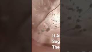 سسسسسسسسسسسسسسسسسسسسسسسسسسسسسسسسسس سمعها