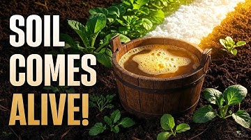 Forgotten Korean Soil Elixir That Supercharges Microbes 10× Faster Than Compost!