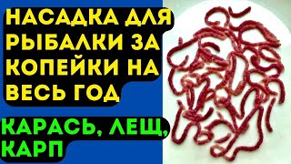 Насадка Для Рыбалки На Карася, Леща, Карпа. Стоит Копейки, Но Отлично Работает.