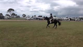 Waymere oaks Miranda
