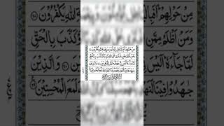 Surah Al Ankabut last Verses by ZR