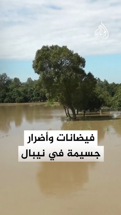        
 - نشر قبل 16 دقيقة