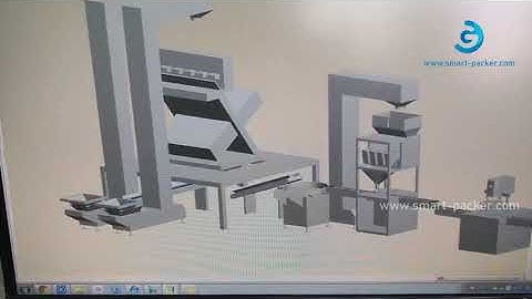 Customzied granule packing line 3D demo video
