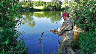 видео: Вот это они тянут! Ловля дикого карпа летом, рыбалка с ночевкой. Карп на пенопласт и донки КРОКОДИЛ. картинка: Вот это они тянут! Ловля дикого карпа летом, рыбалка с ночевкой. Карп на пенопласт и донки КРОКОДИЛ.