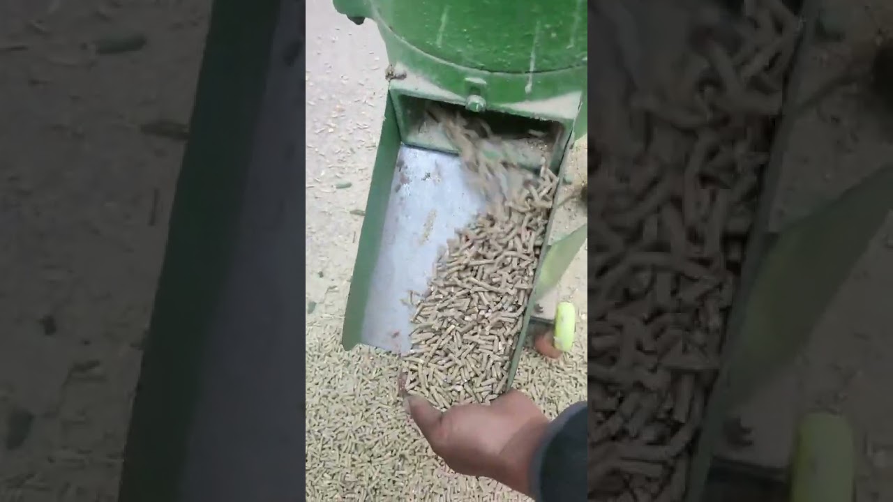 The Science Behind Superior Pellets: Flat Die Technology Explained 