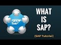 What is SAP? Why do we need ERP? Beginner Tutorial